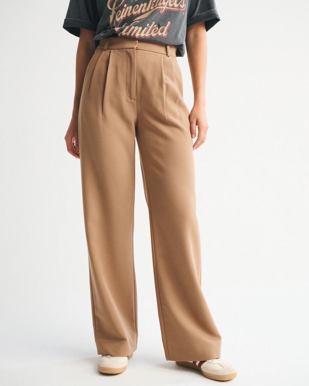 NEW Abercrombie & Fitch Sloane Tailored Wide Leg Pants Brown 31 / 12